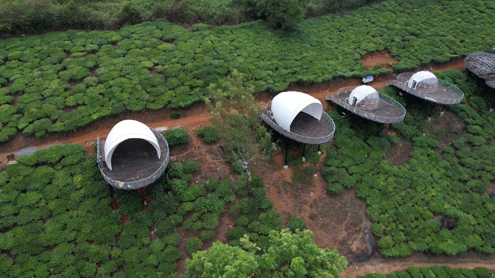 Glamping Tents tensile project 8 by Cabane Tensile Roofing